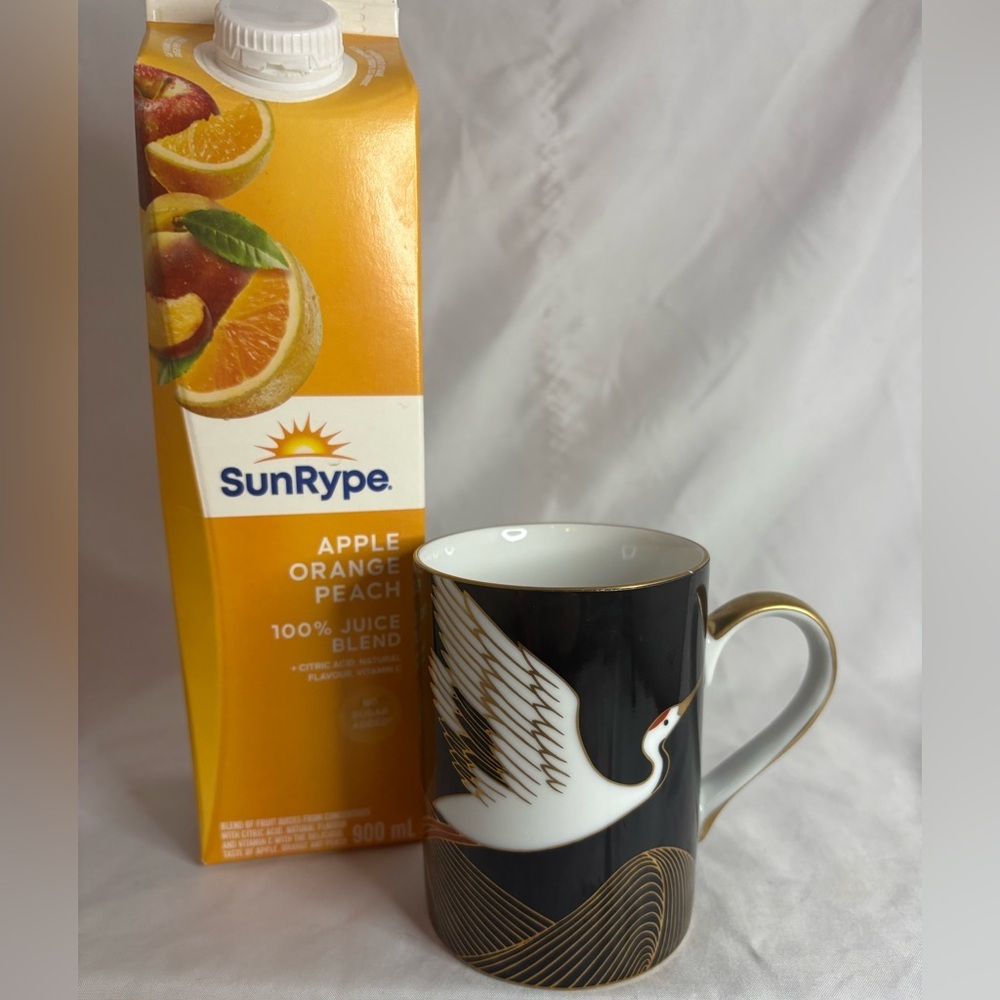 Fritz and Floyd “ night flight” ceramic mug.